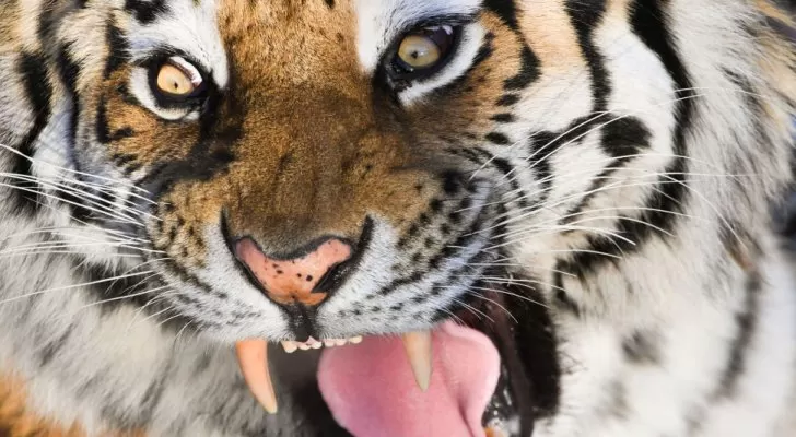 مدار الساعة,Video,فيديو,أخبار خفيفة ومنوعة,وسائل التواصل الاجتماعي