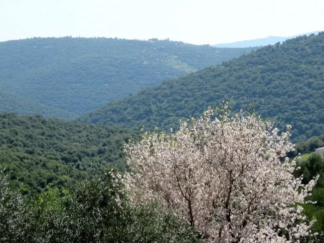 مدار الساعة,الطقس في الأردن اليوم,طقس الأردن,طقس العرب,طقس العرب الاردن,درجات الحرارة