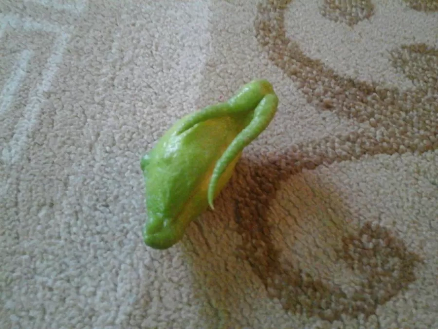 مدار الساعة,أخبار خفيفة ومنوعة