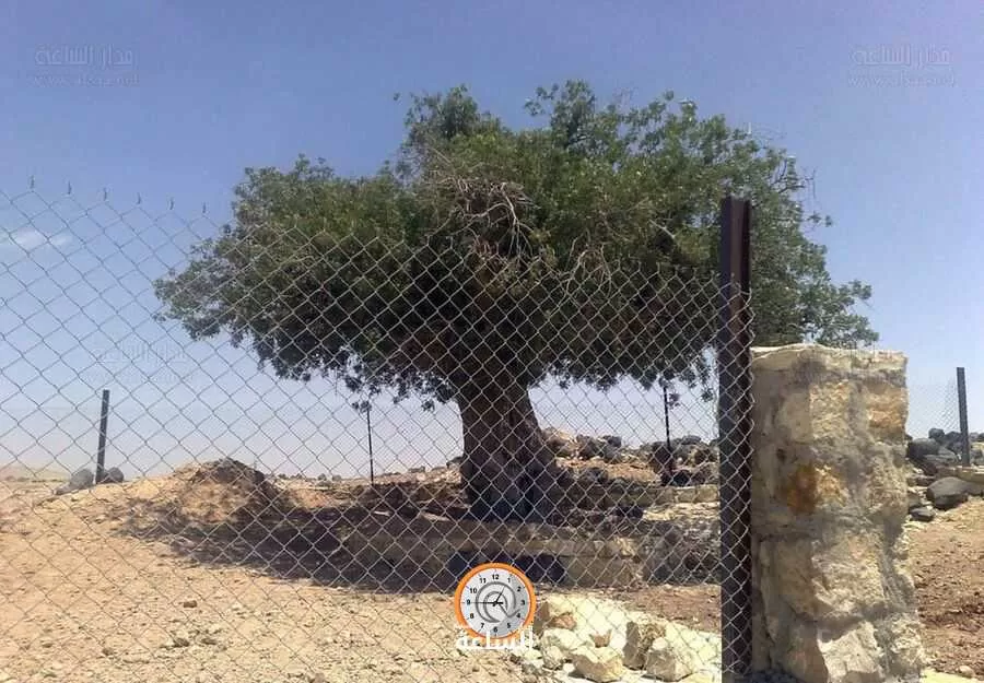 مدار الساعة,أخبار الأردن,اخبار الاردن